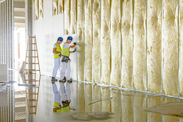 Best Insulation Maintenance and Repair in Post Falls, ID